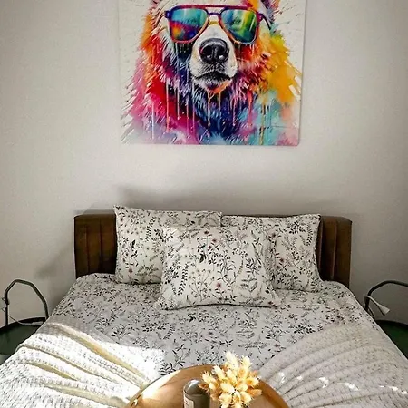 Polar Bear Apartment Suwałki Zewnętrze zdjęcie